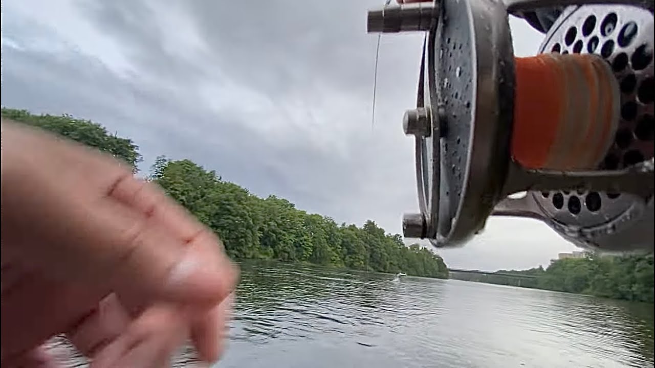 Fly fishing salmon in Norway 2022