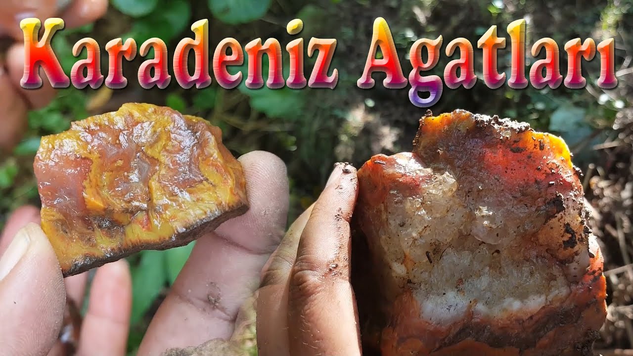 Karadeniz Agatı Aramaları
