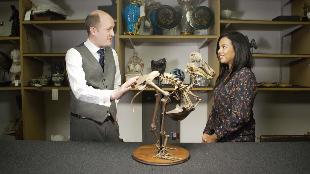 The Dodo: A Bird with a Message | Christie's