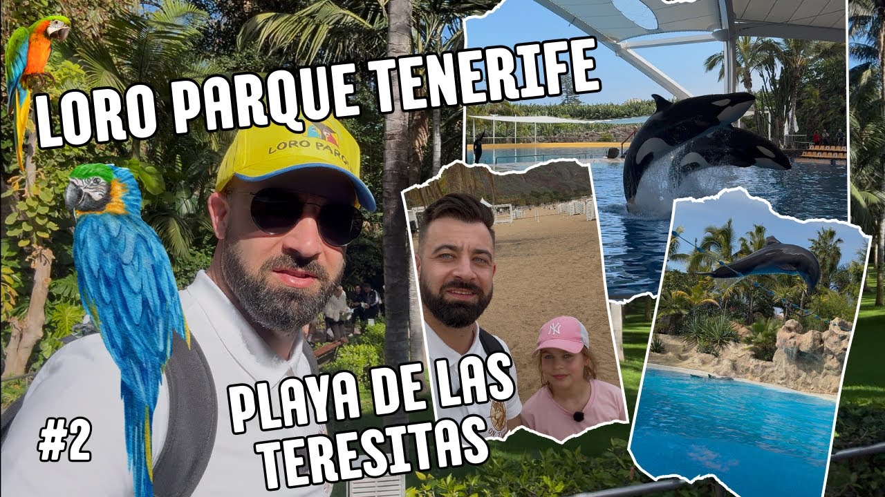 🇪🇸LORO PARQUE TENERIFE & Playa de las Teresitas  #2
