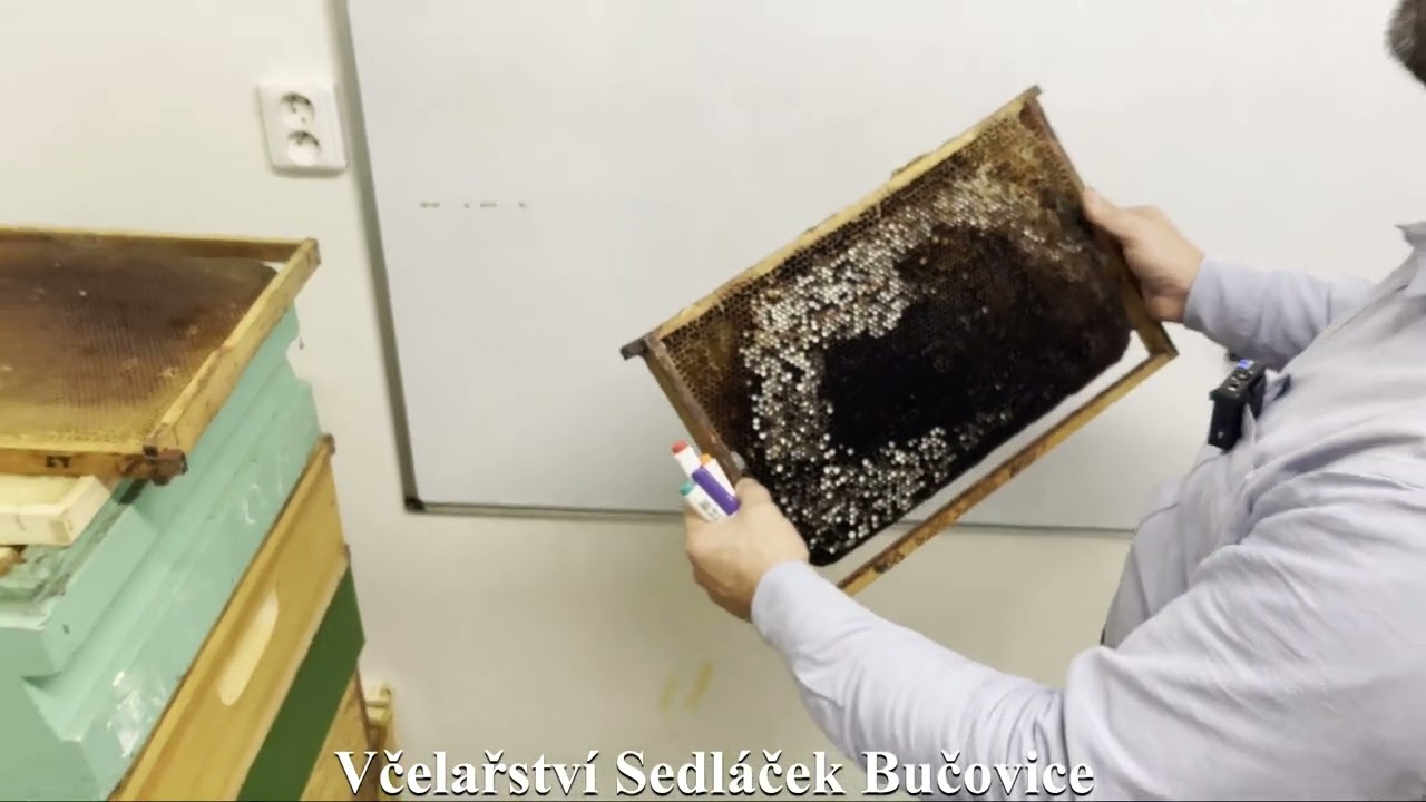 6/23 Jak často vyvařovat plásty/souše? 1/2