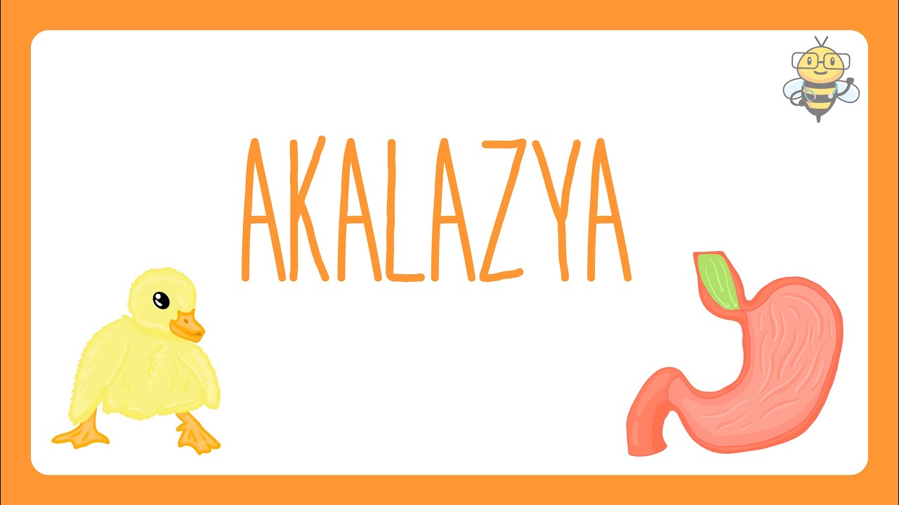 Mideye Açılamayan Yol: AKALAZYA!