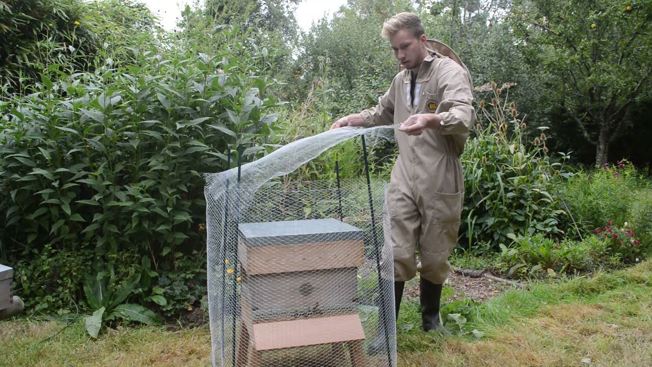 Beekeeping Guide: How To Prepare Your Hive For Winter Part  2 | Protect From Mice & Birds