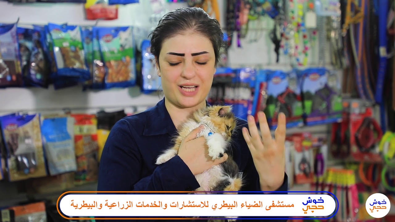 نساء ينقذن الحيوانات في بغداد