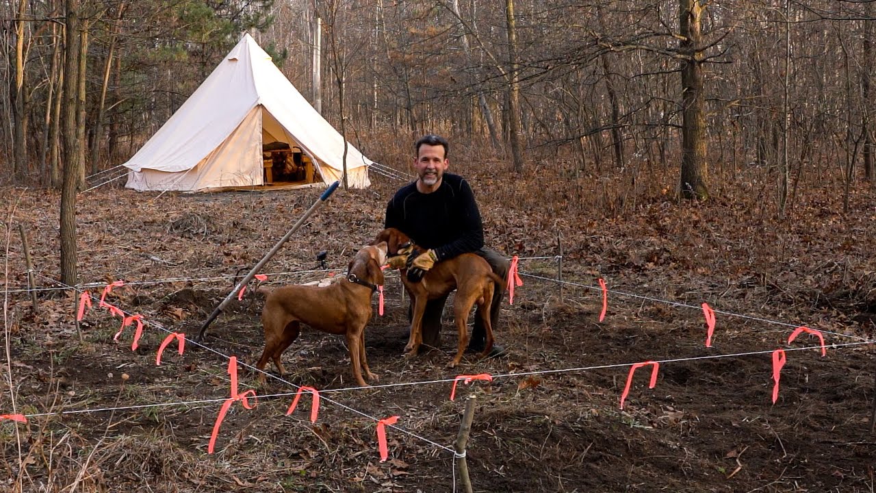 Building a Log Cabin while Living in a Canvas Tent with my Dogs / Off-Grid Homestead Beginning