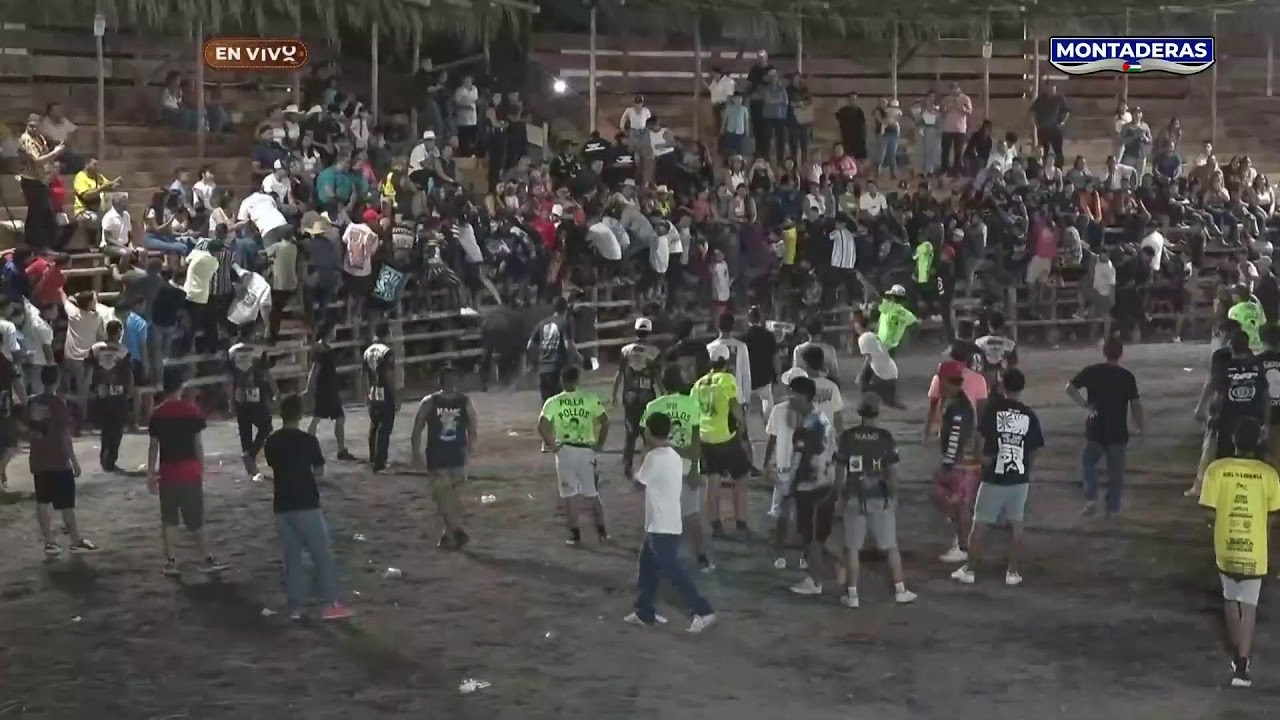 Montaderas Trivisión ¡Fiestas Cívicas Liberia 2026!