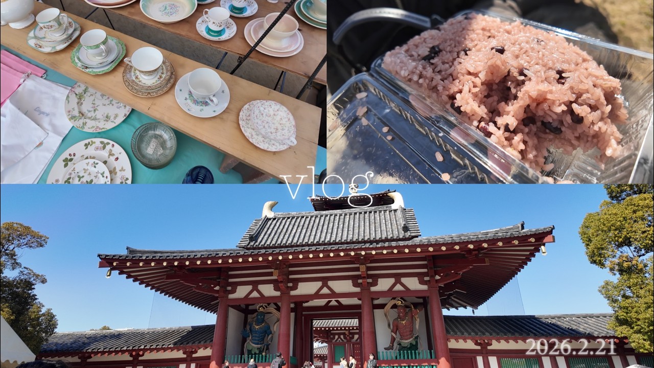 【vlog】2026 2月21日四天王寺骨董市🍽️購入品紹介♡