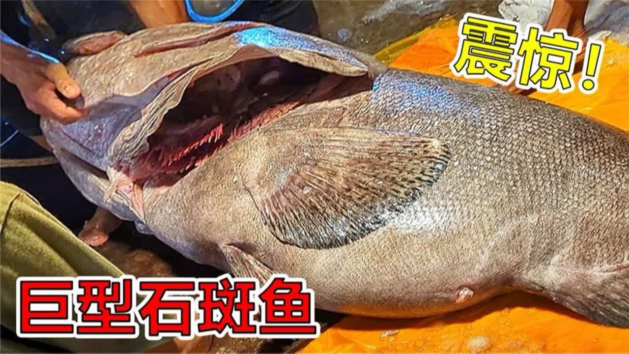 印度人分解巨型龙趸石斑鱼，这切割技术也是没谁了，全靠蛮力！