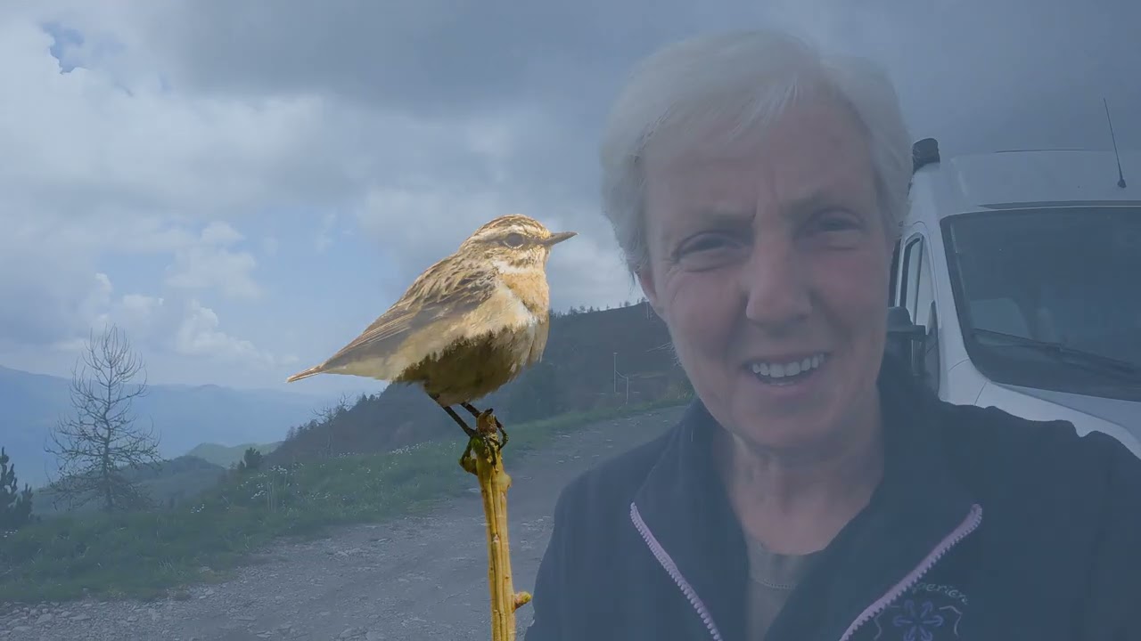 Piccola gita al colle di Sampeyre, fauna alpina e pagnottine veloci