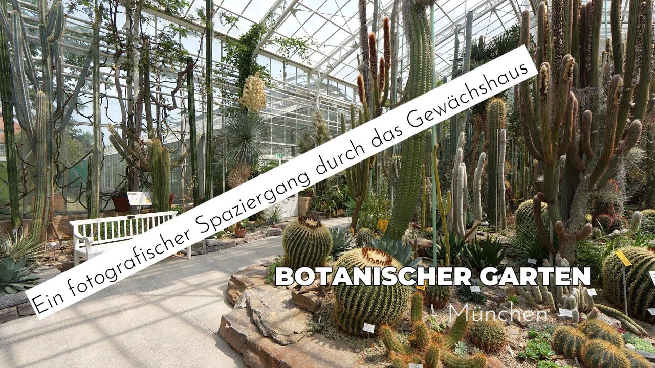 Botanischer Garten München (Teil 2)  - ein fotografischer Spaziergang durch das Gewächshaus