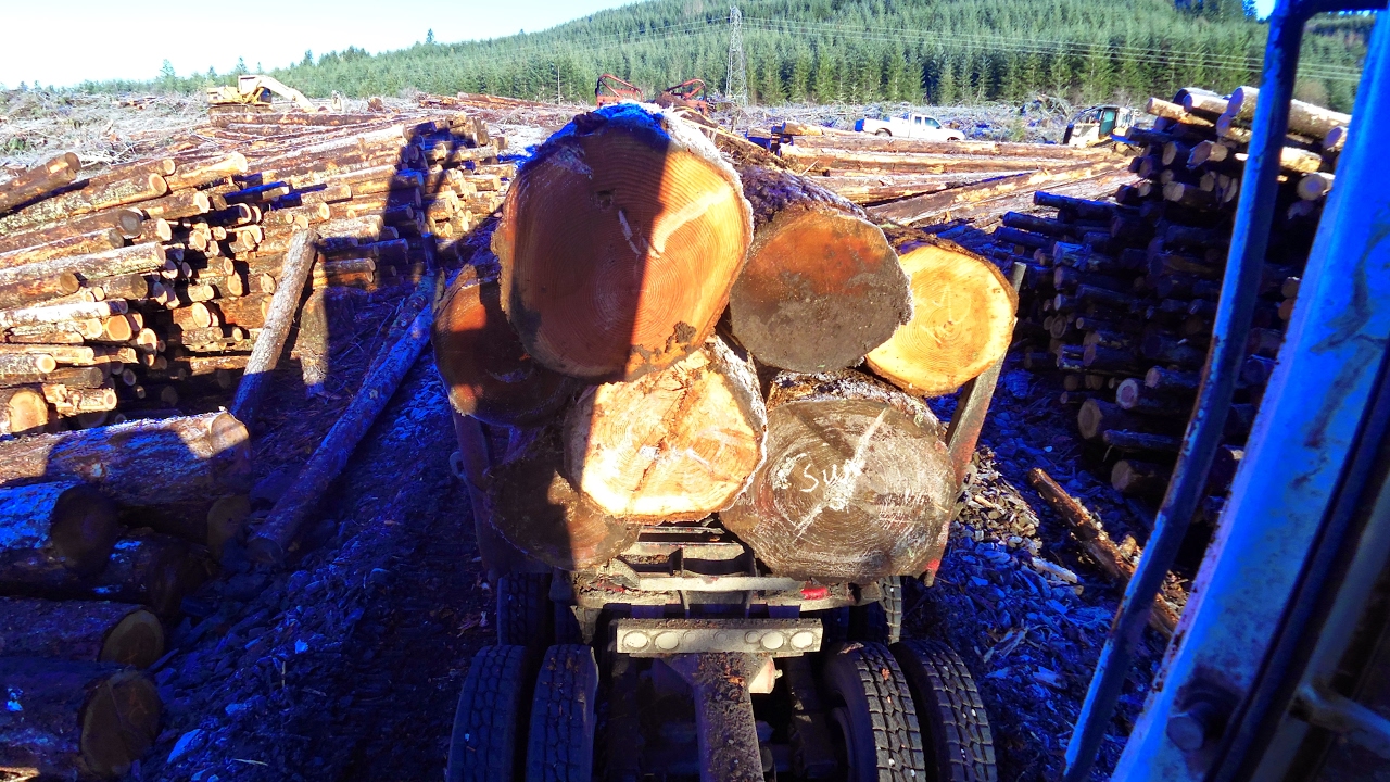 west coast logging alex esgate Live Stream