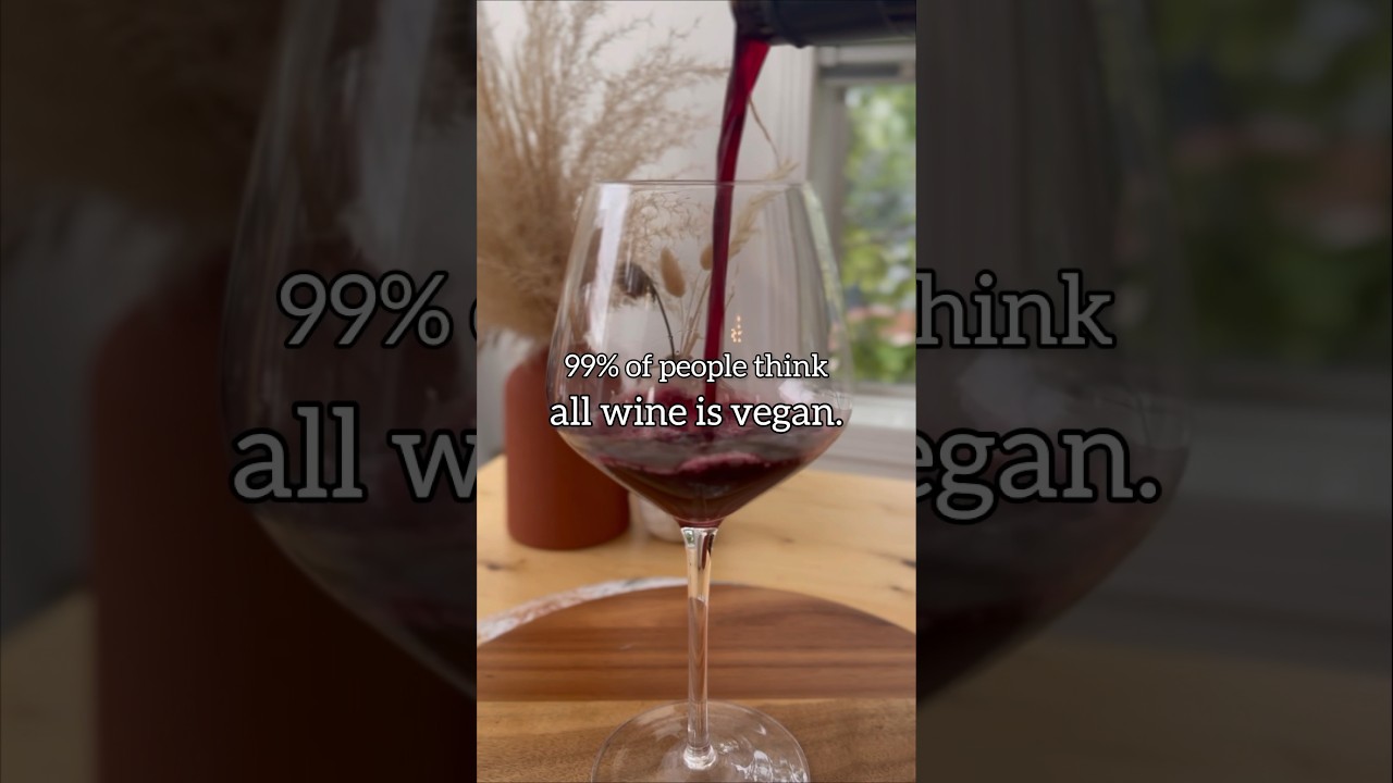 Important info for VEGAN wine lovers! 5 ways to know if your wine is actually vegan