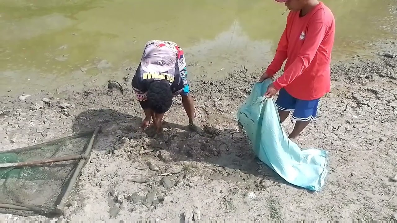 Mag kalap ng tilapia at gurami😊