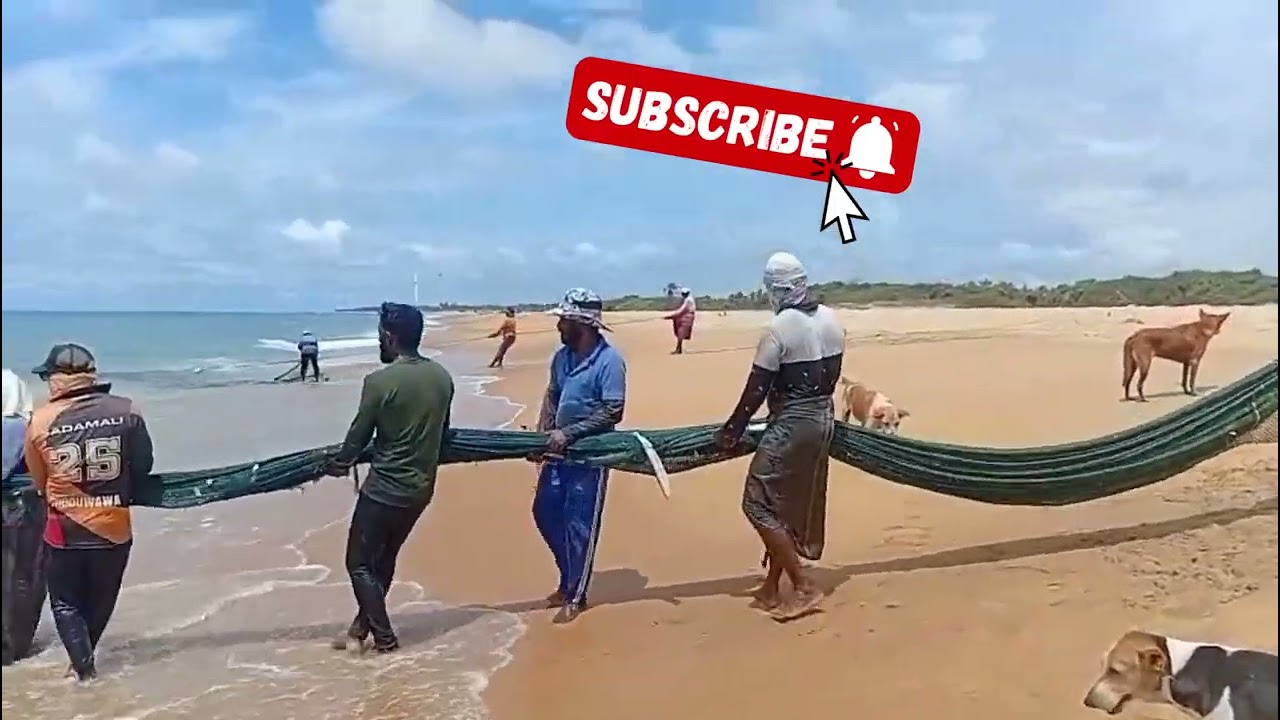 මා දැලක් බලන්න 😱😱මුල ඉඳන්ම 🐟🦈🐠🐟❣️ මේ තෝඩුවාවෙ🐠🐟❣️