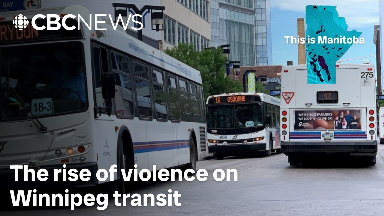 Violence on Winnipeg Transit is way up. What's the city doing about it?