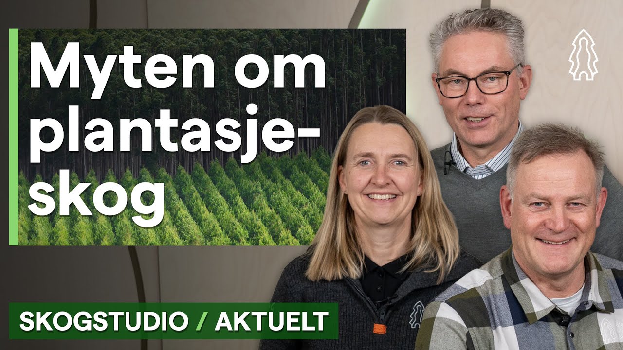 Myten om plantasjeskog – Skogstudio aktuelt