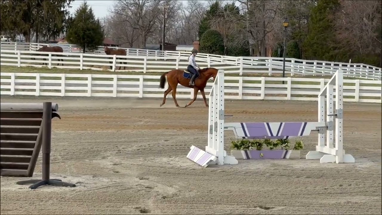 Mabel 2/4/26