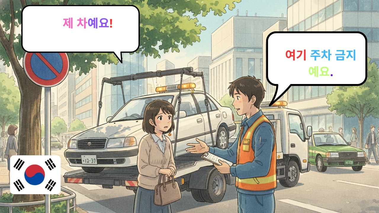 초보자를 위한 한국어 회화 | 길에서 사용하는 간단한 대화 10가지 (A1–A2) 🇰🇷