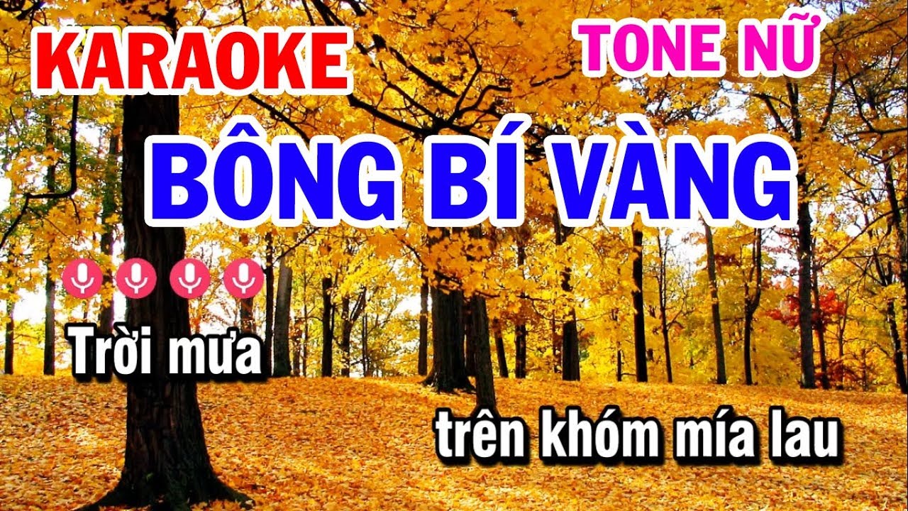 Karaoke Bông Bí Vàng | Nhạc Sống Tone Nữ Dễ Hát | Karaoke Tuấn Cò