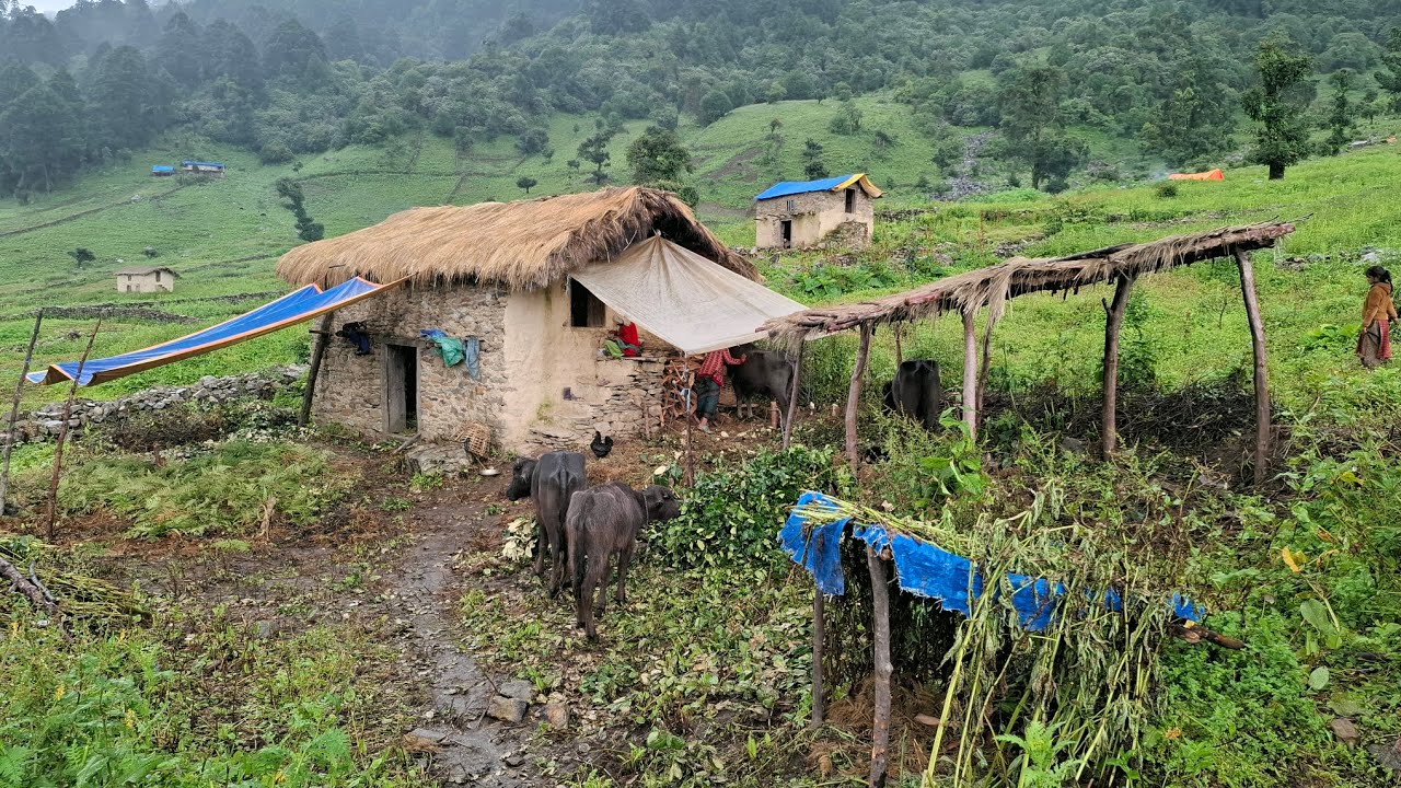This IS Himalayan Village During the Rain |Mountain Village Documentary Video | Nature With Rural |
