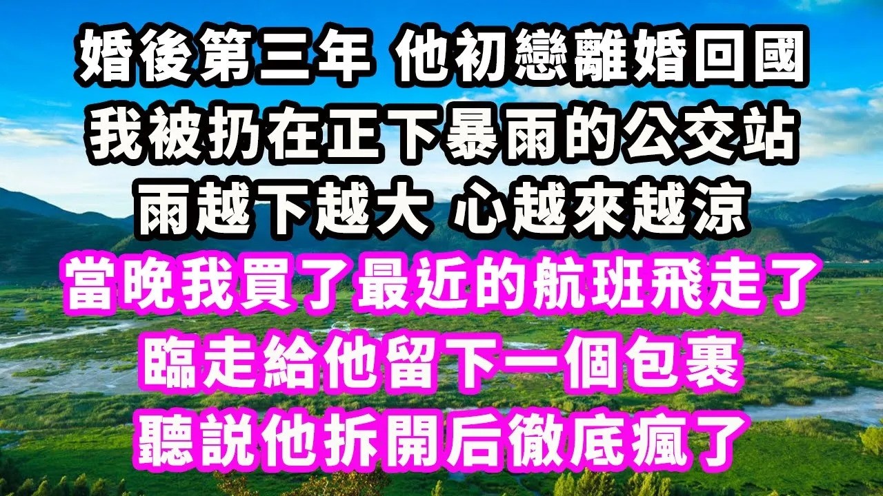 婚後第三年他初戀離婚回國，我被扔在正下暴雨的公交站，雨越下越大心越來越涼，當晚我買了最近的航班飛走了，臨走給他留下一個包裹，聽説他拆開后徹底瘋了#爽文完結#一口氣看完#小三#豪門#霸總