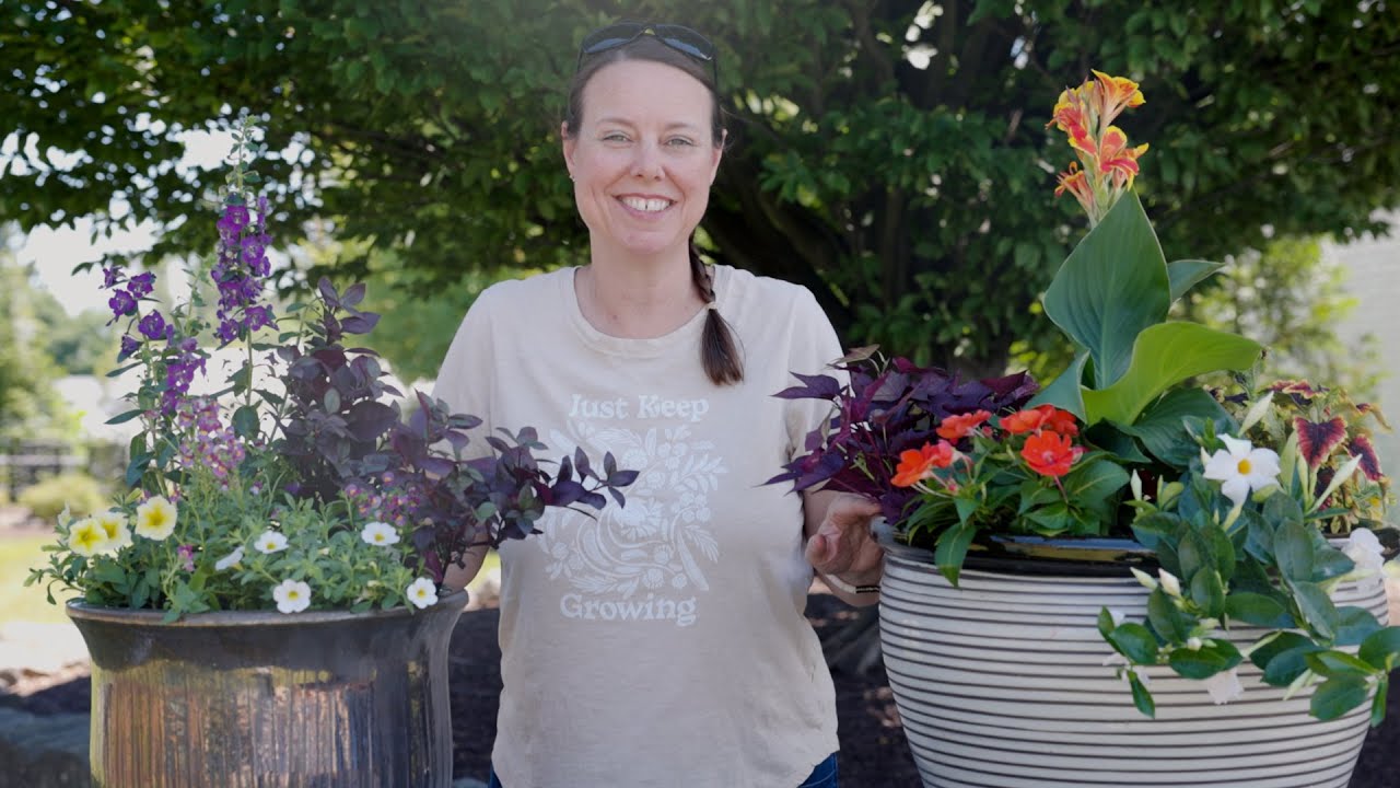 PETITTI | How to Design & Plant Annual Container Gardens with Spillers, Fillers & Thrillers