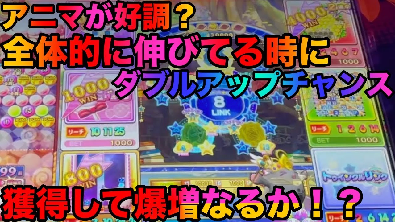 【アニマロッタ6】全体的に好調！？の矢先にダブルアップチャンス！？どこまで増やせる？