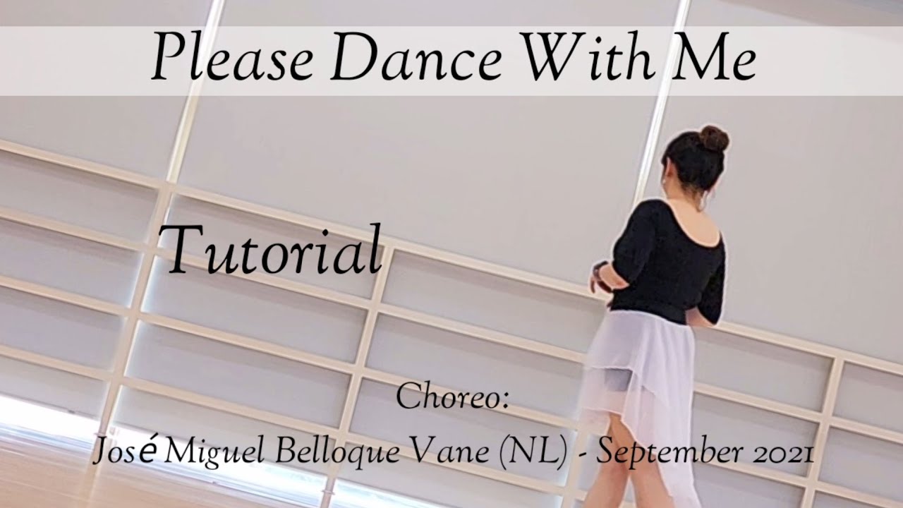 Tutorial [Please Dance With Me] 스텝설명/