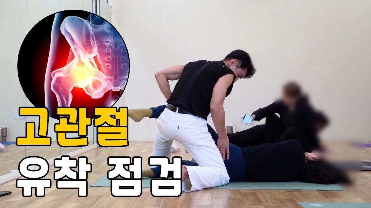 고관절 유착 점검 #고관절통증