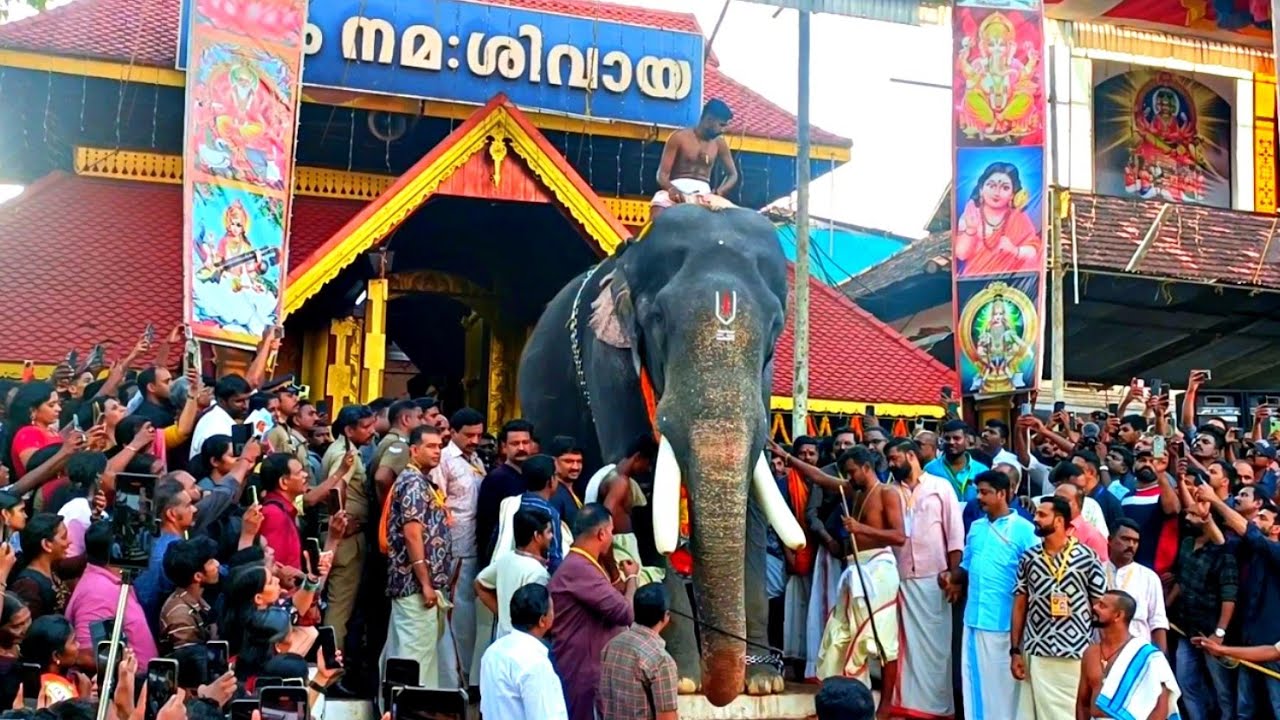 Pampady Rajan mass  entry | thirunakkara pooram 2025 | pambady Rajan entry | pampadi Rajan | #2025