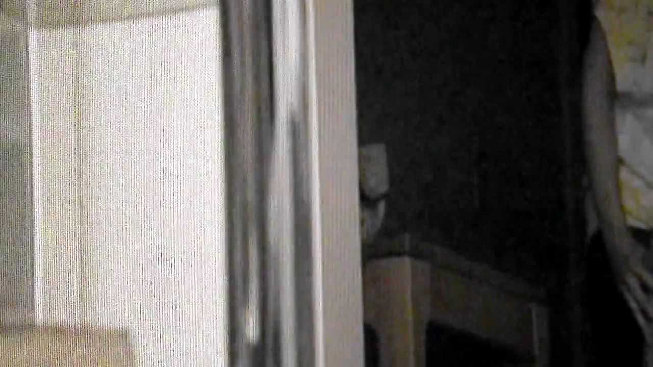 本怖　指原