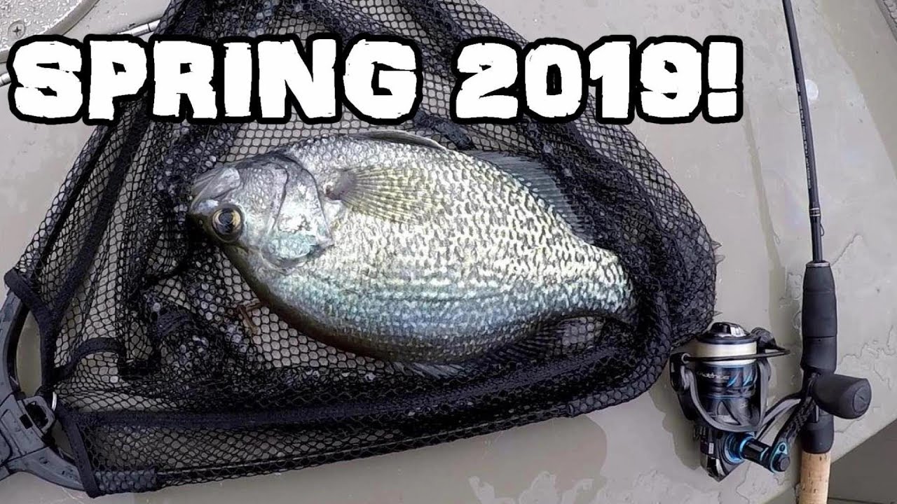 Spring Crappie Fishing 2019! Fishing Treetops For SLABS!