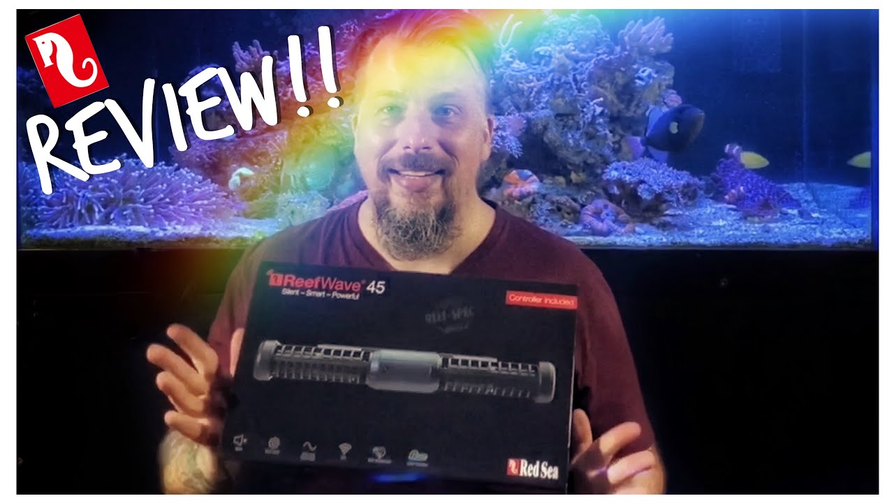 Review of the Red Sea ReefWAVE 45! Set Up & Programmed for #reefzilla