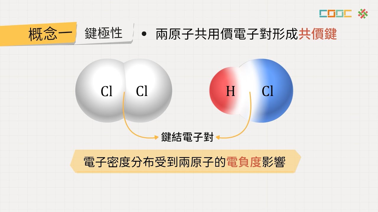 108新課綱｜高二化學｜【觀念】極性分子與非極性分子