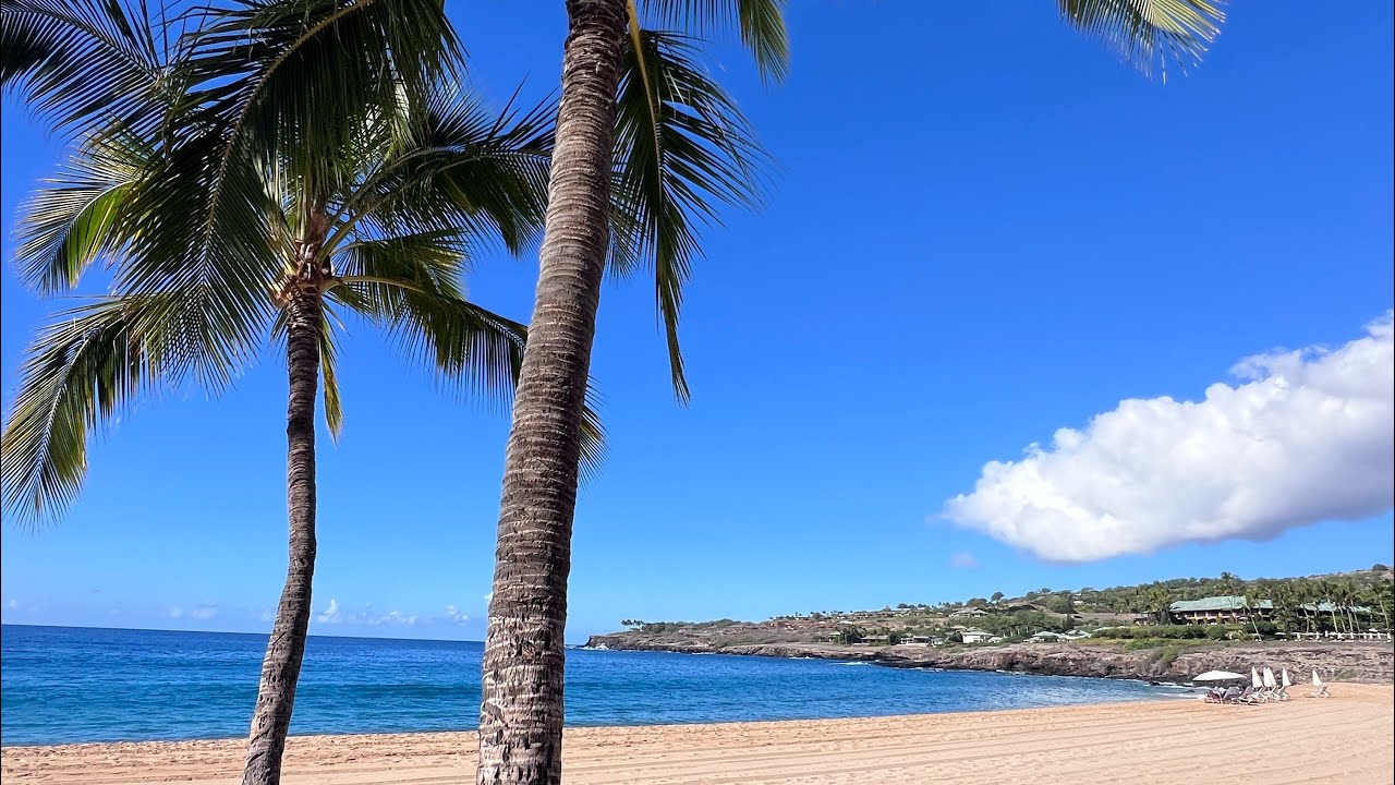 Lanai Island. Hawaii. Остров Ланаи, Гавайи  December 6 2024