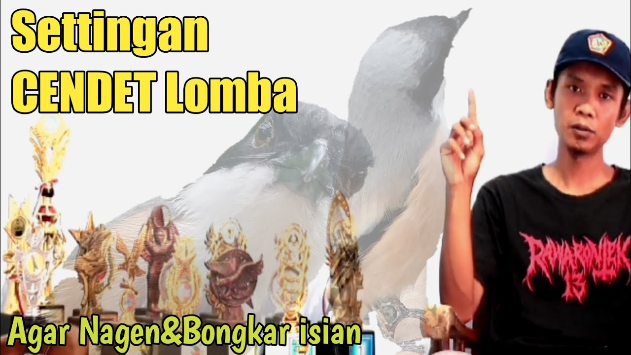 CARA Setting CENDET Untuk Lomba agar Nagen dan Keluar isian