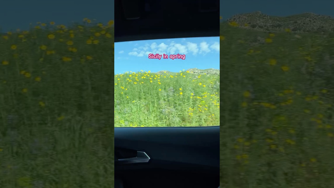 Sicily in spring vs Sicily in summer&hellip; #italy #sicily #travel #italytravel #visitsicily #carview