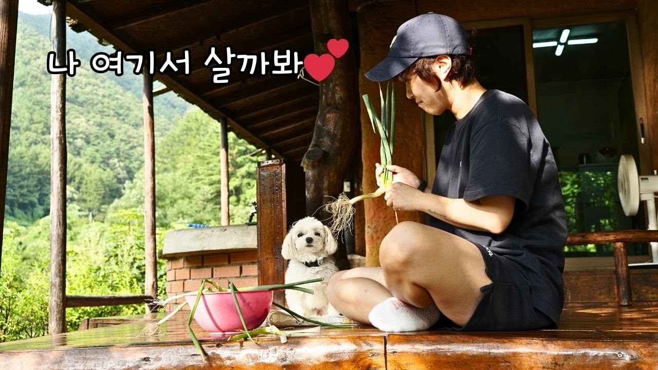 캠핑 말고 이런 힐링 어때요?🐶시골 집에서 자급자족 텃밭 한끼🌿/애견동반