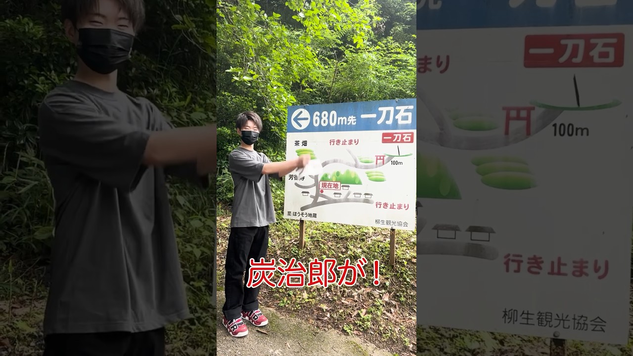 【一刀石】に行って虫に追いかけられるw最後まで見てね！#shorts #観光 #奈良県 #鬼滅の刃