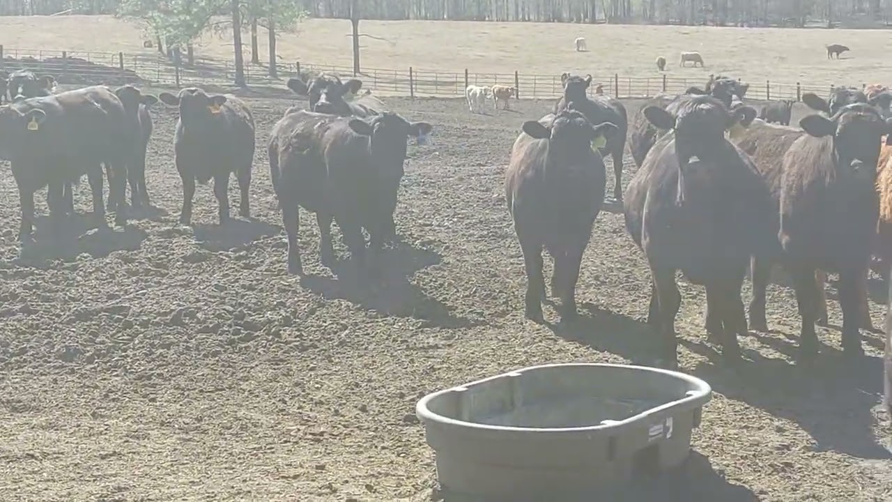 R&R farms