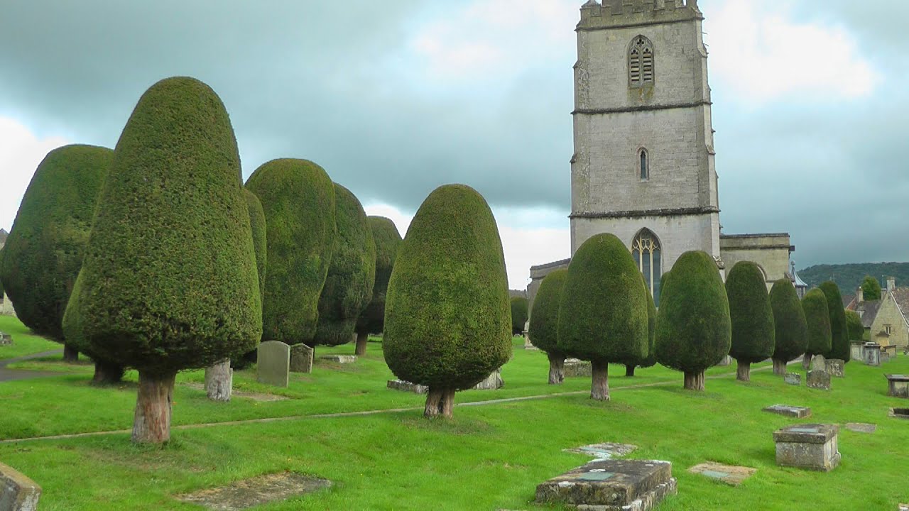 ENGLAND yew trees of Painswick churchyard (Cotswolds)