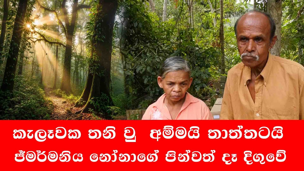 මහ වන මැද සතුන් එක්ක ඉන්න අම්මයි තාත්තා
