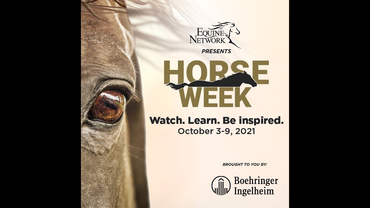 Horse Week brought to you by Boehringer Ingelheim