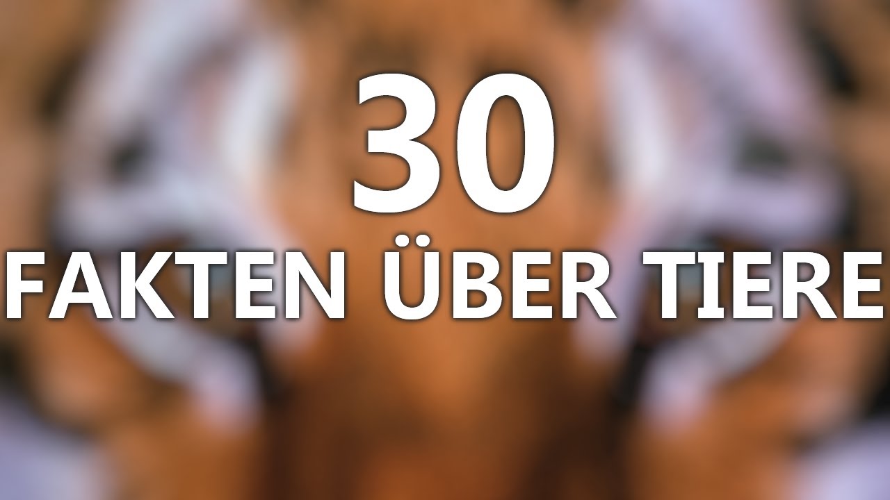 30 FAKTEN &Uuml;BER TIERE - Wusstest Du...?