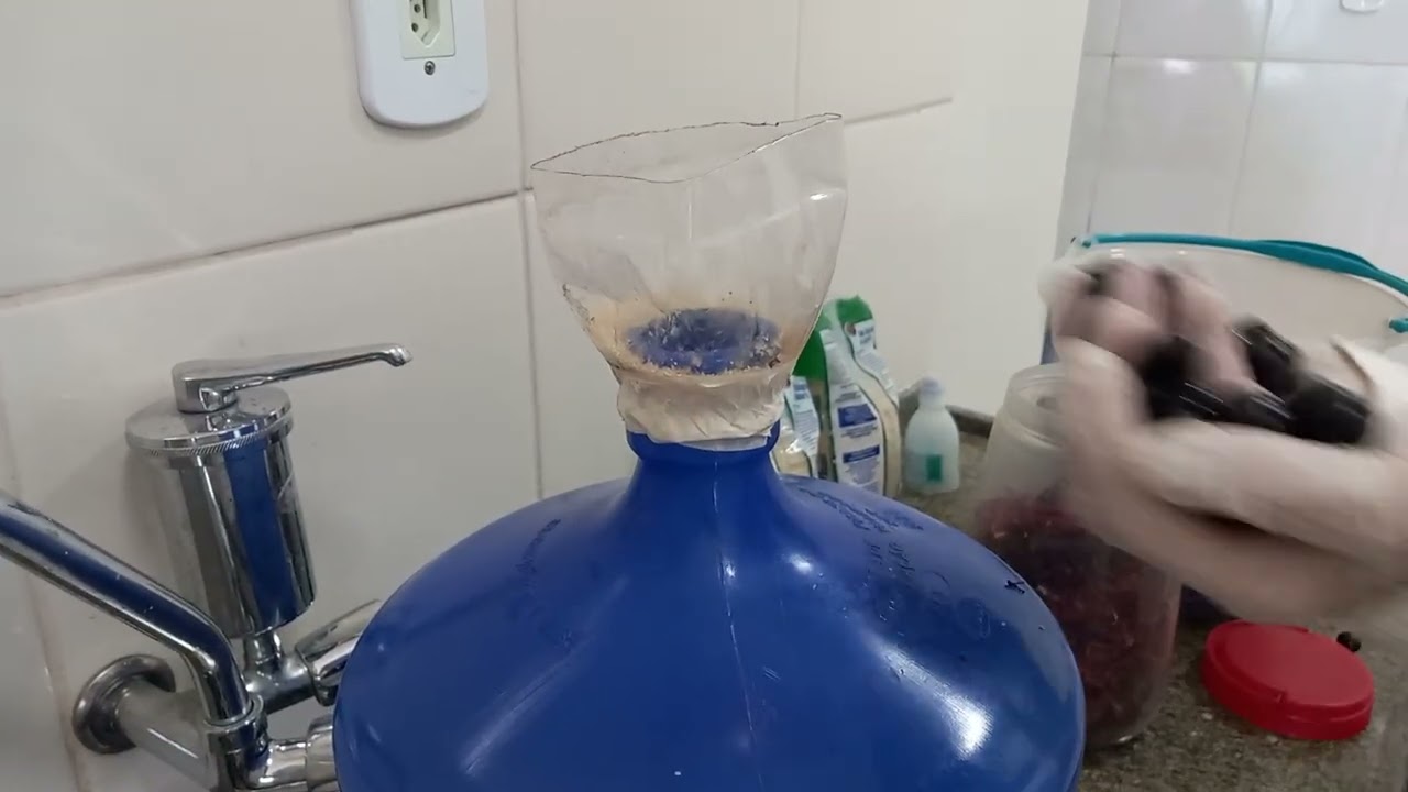 Vinho artesanal de jabuticaba🍷🍷 | parte 1
