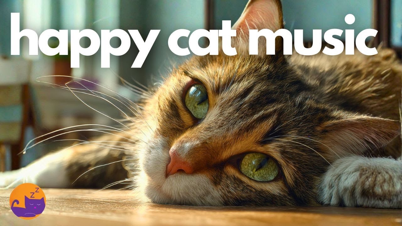 Enrichment Music for Cats 🐱 Daily Anxiety and Stress Relief 🍃❤️‍🩹