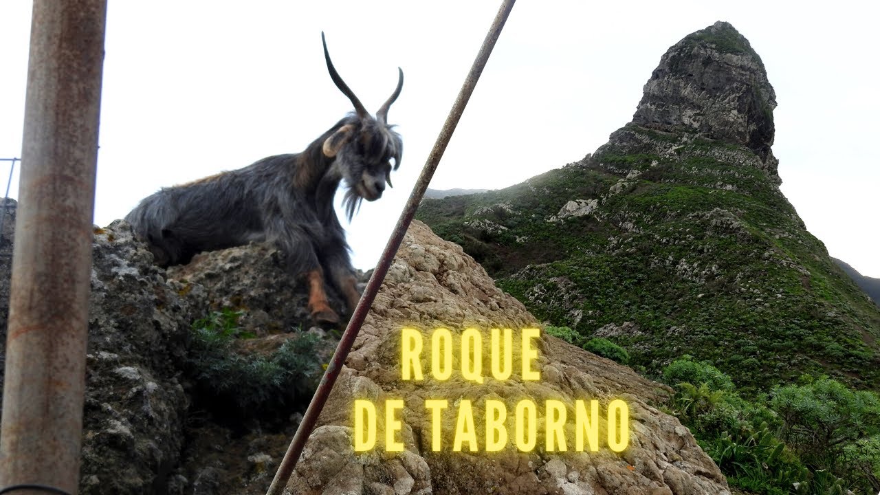 AVENTURA en el Mágico ROQUE DE TABORNO | TENERIFE | Historia INDÍGENA y lugar SAGRADO