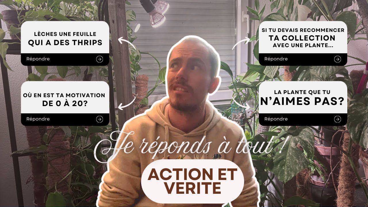 ACTION ET VERITE - Vous me faites faire n'importe quoi !
