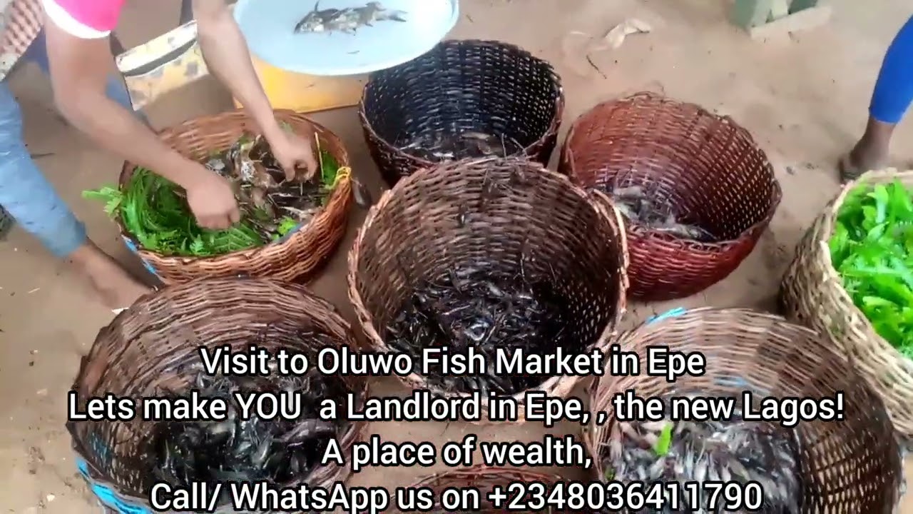 A visit to Oluwo Fish Market in Epe,#fishmarket #youtube