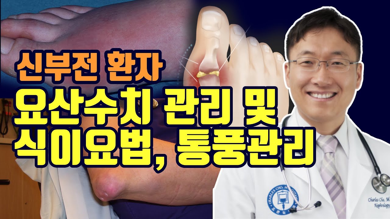 통풍/요산이 조용히 당신의 콩팥과 혈관을 망가뜨리고 있습니다.
